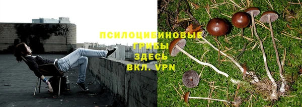 МДМА Алексеевка